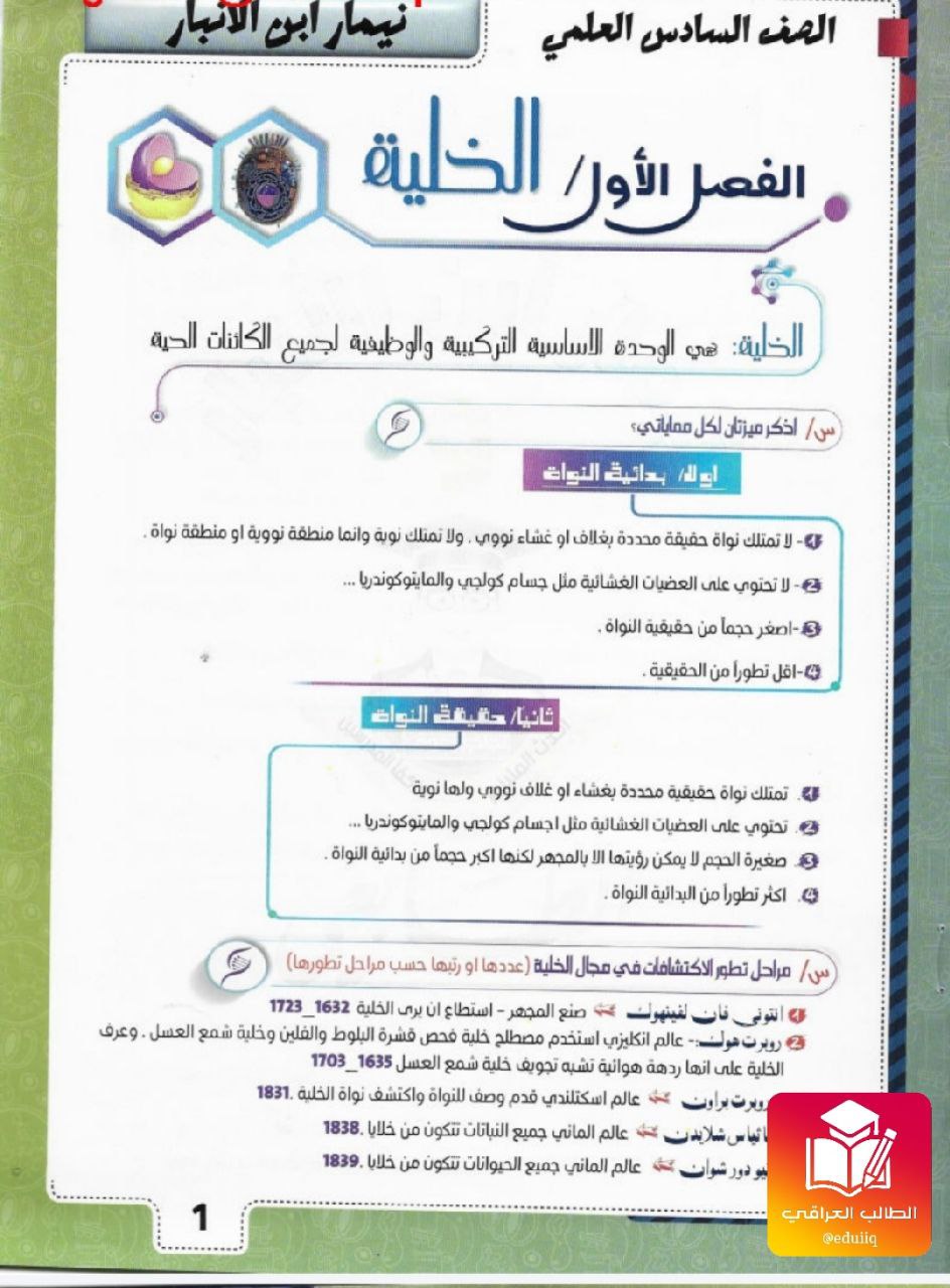 ملزمة نيمار ابن الانبار مراجعة مركزة احياء السادس العلمي – تحميل PDF
