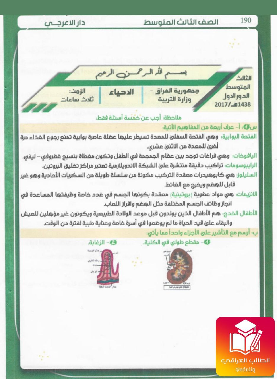 ملزمة المرشد وزاريات الاحياء الثالث المتوسط – تحميل PDF